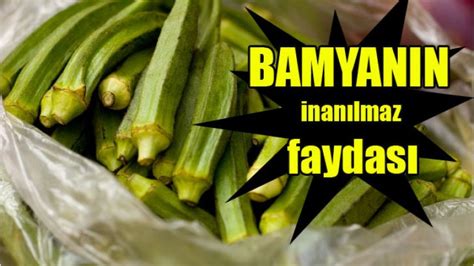 Bamyanın Zararları Nelerdir