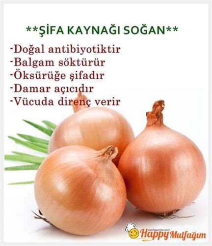 Soğanın Besin Değeri